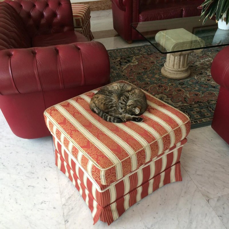 Hotel Fiuggi Terme Resort & Spa