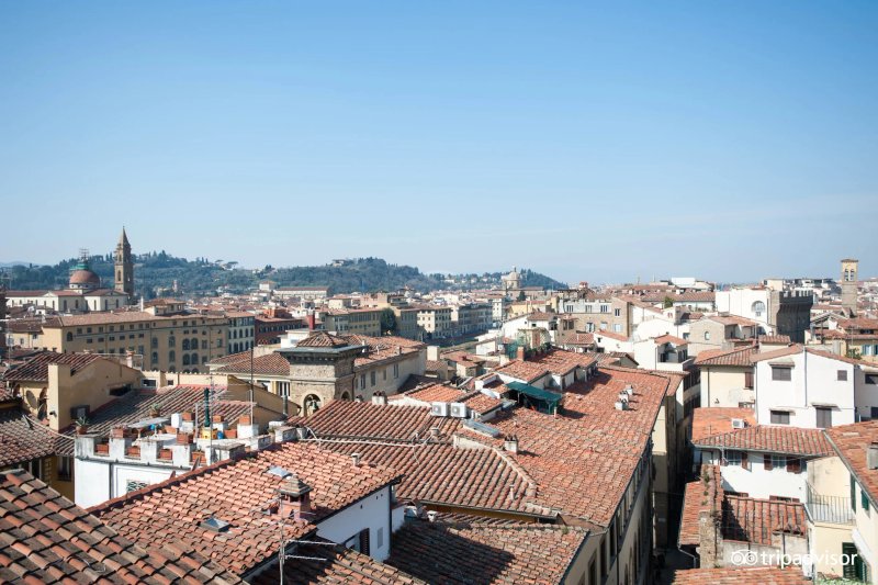 Hotel Torre Guelfa