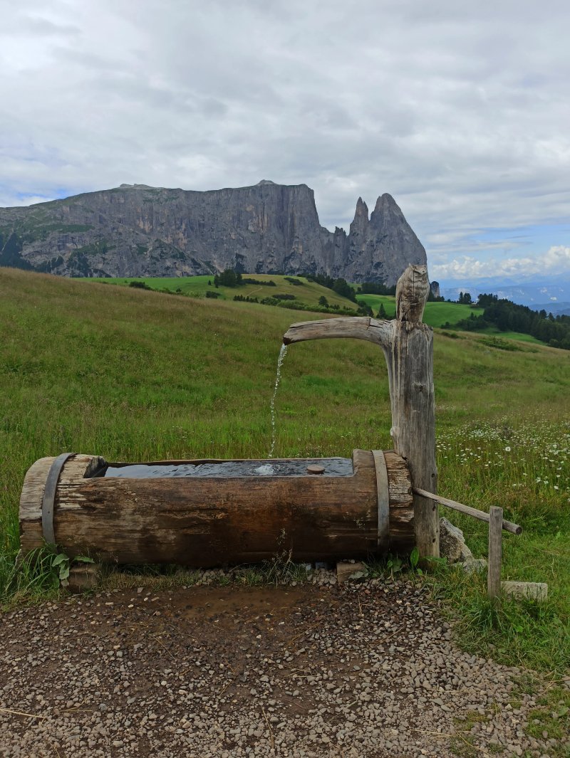 Seiser Alm Urthaler