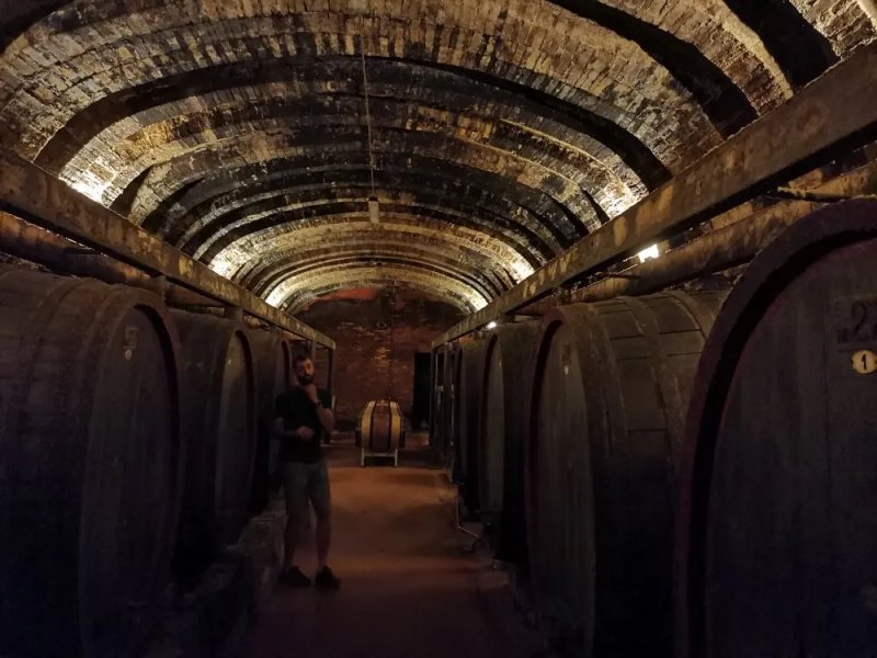 Fattoria di Montemorli, family winery