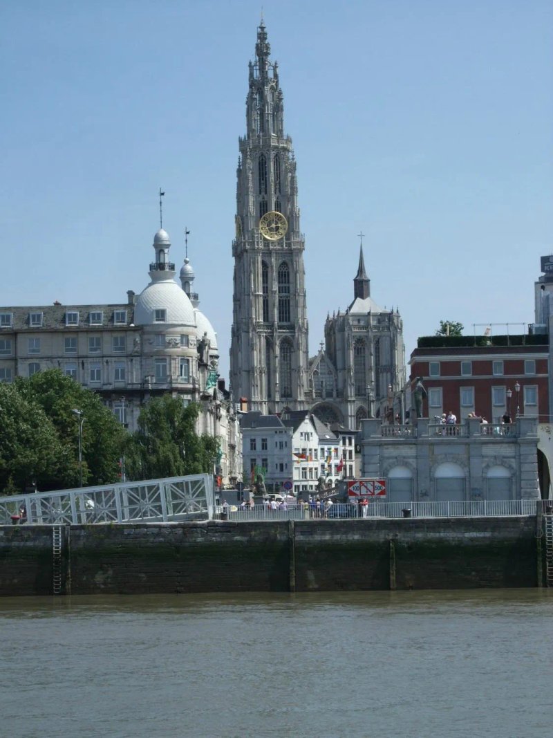 De Koning van Spanje