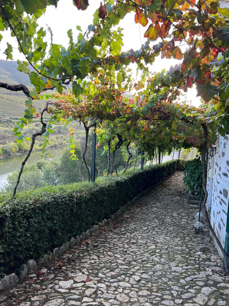 Quinta de Marrocos