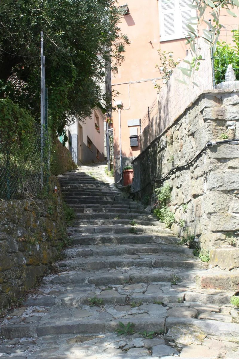 Il Carugio
