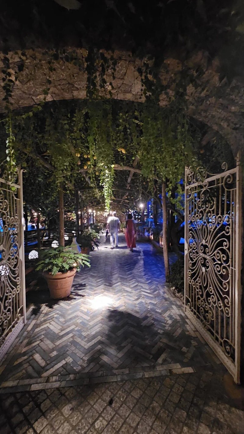 Da Paolino Lemon Trees