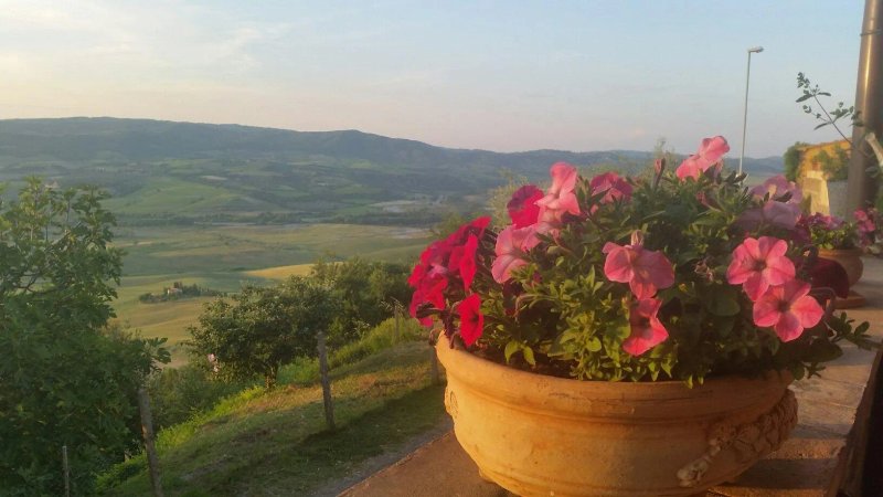 Antica Fattoria del Grottaione