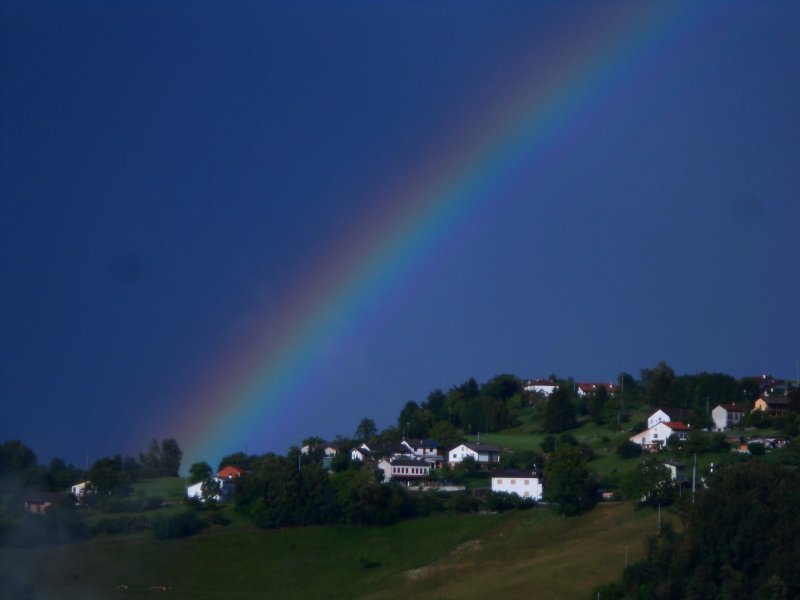 Agriturismo la Casa Nei Boschi