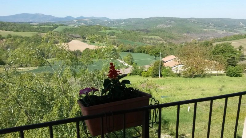 Il Merollo