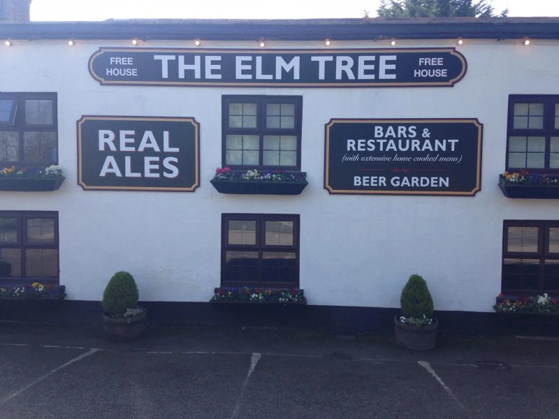 The Elm Tree