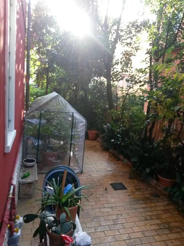 B&B Il Tulipano