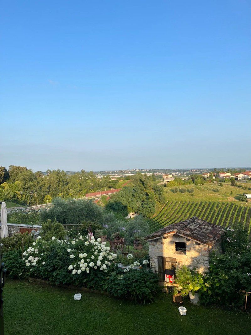 La Vigna di Sarah