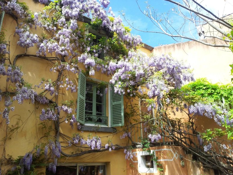 Le Petit Siam