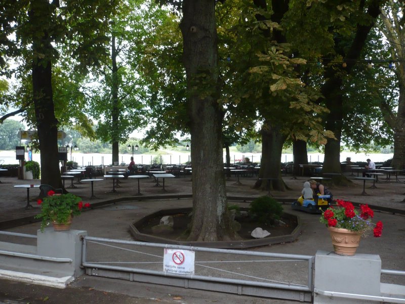 Alte Rheinfahre
