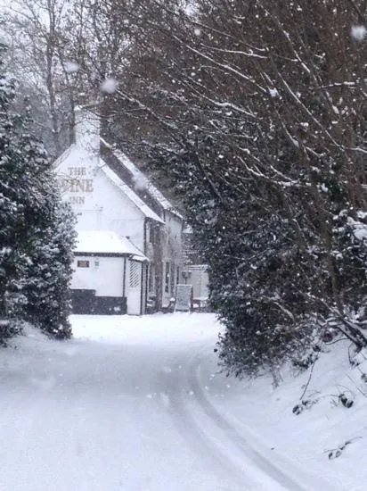 The Vine Inn