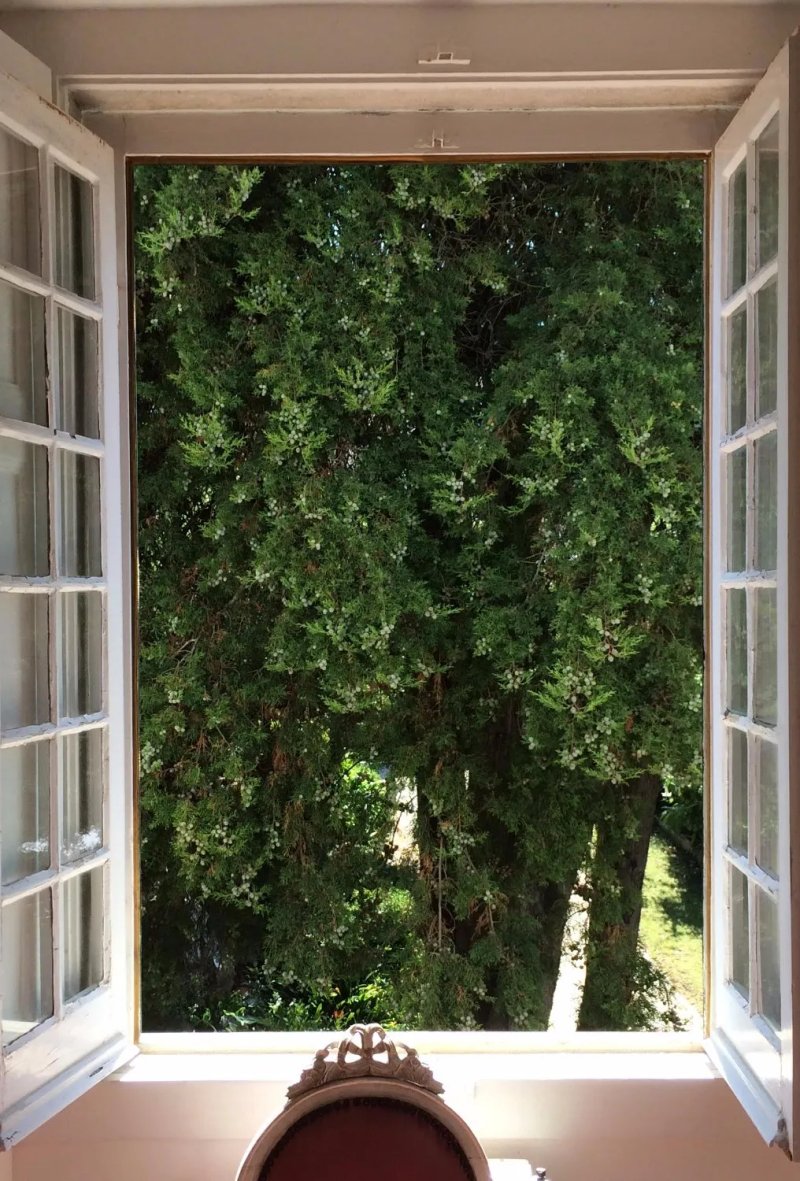 VBJ - Villa Branca Jacinta