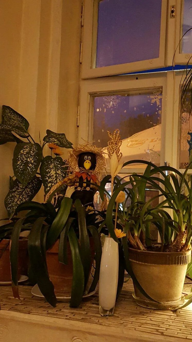 Ristorante San Nicola