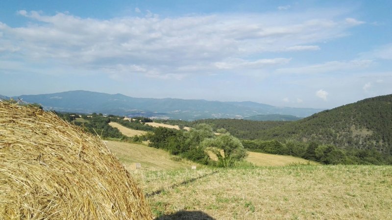 Locanda del Viandante