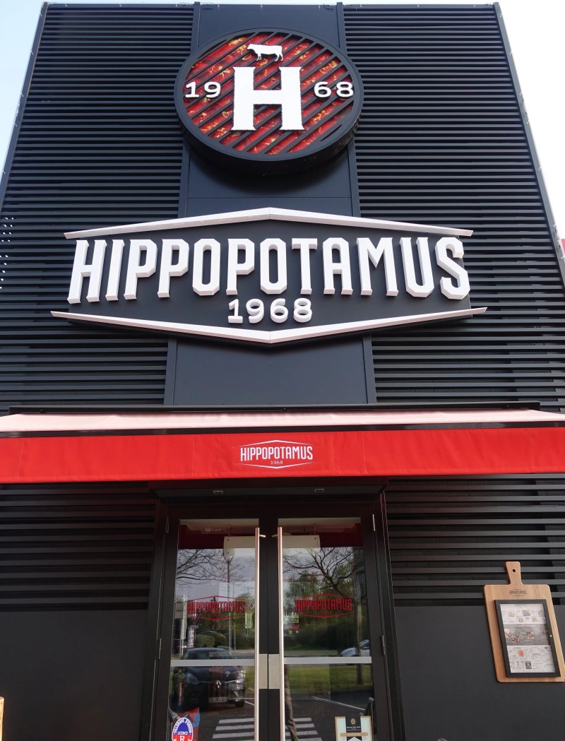 Hippopotamus
