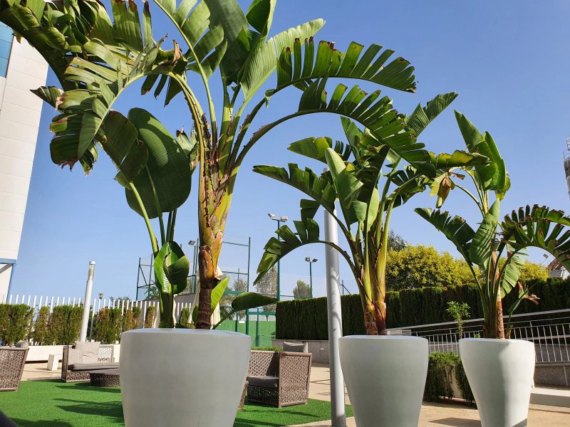 Hilton Garden Inn Sevilla