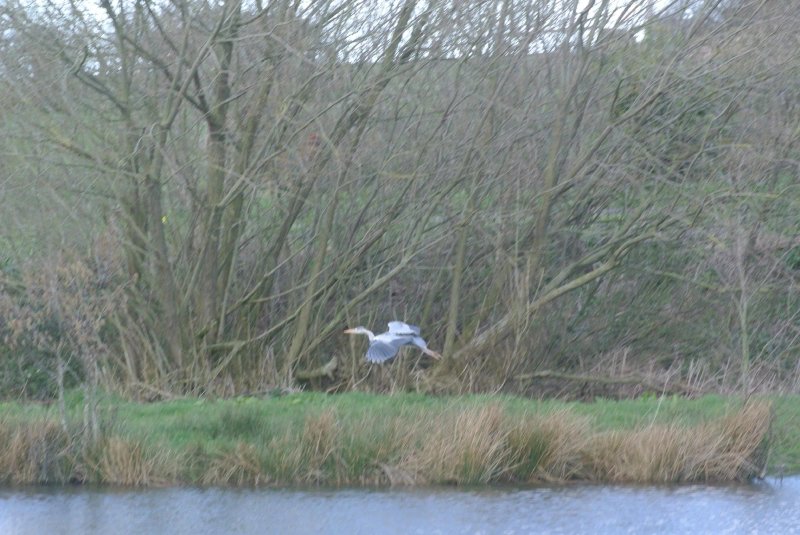 Milton Brook Estate