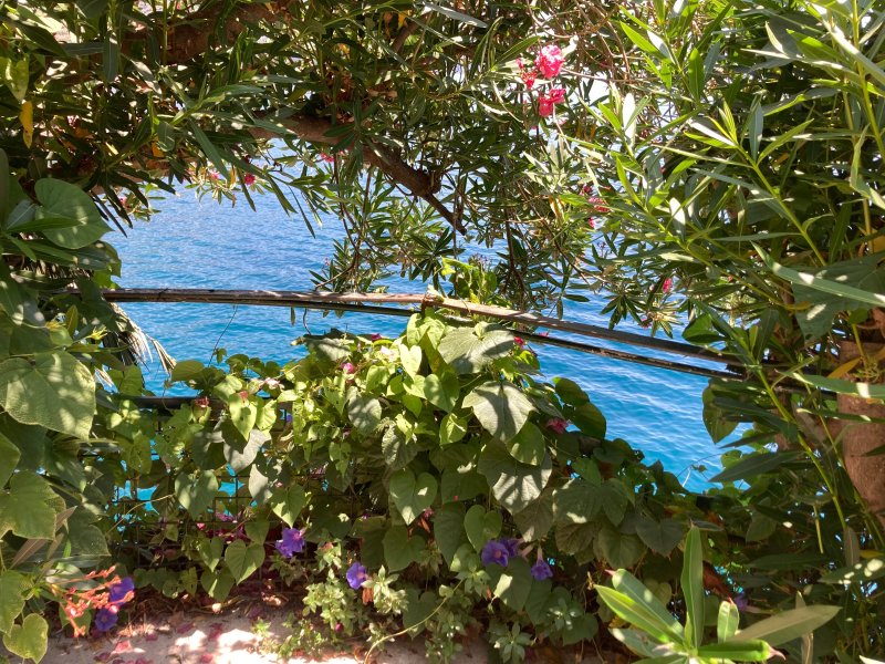 Amalfi Coast - Il Monaco, Three Bedrooms villa with equipped platform on the sea