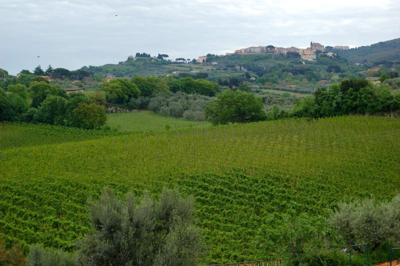 Agriturismo Tenuta Quarto Santa Croce