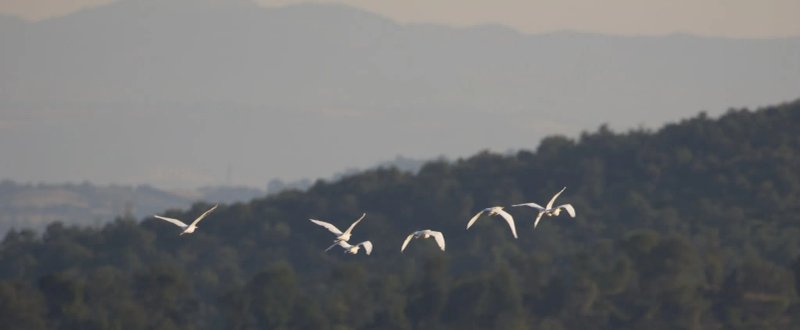 Agriturismo Colleverde