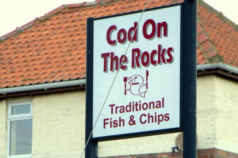 Cod on the Rocks