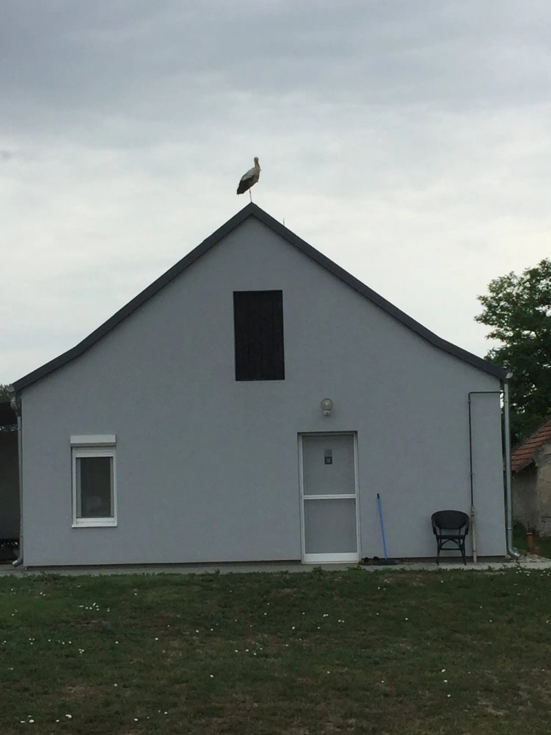 Hédervári Lovasklub Vendégház