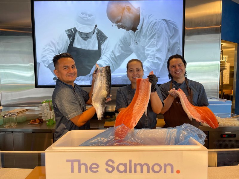 The Salmon