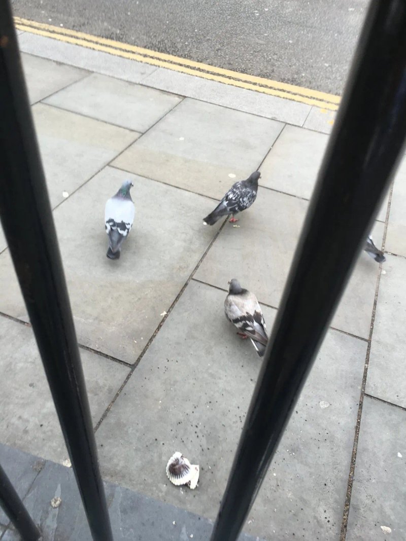 The Hummingbird Bakery