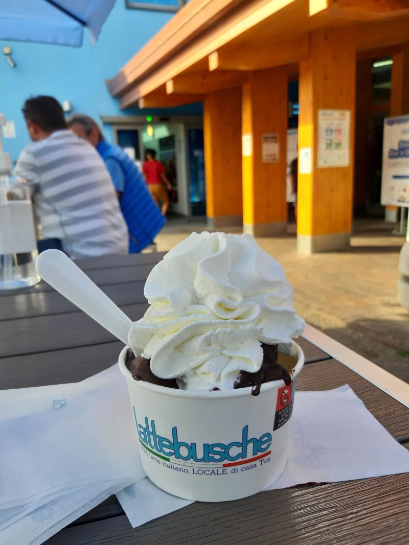 Lattebusche