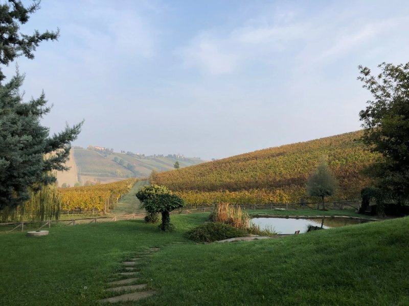 Agriturismo Corte d'Aibo
