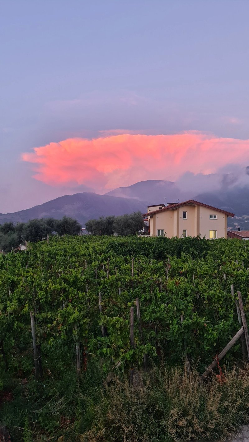 Tenuta Miranda Agriresort