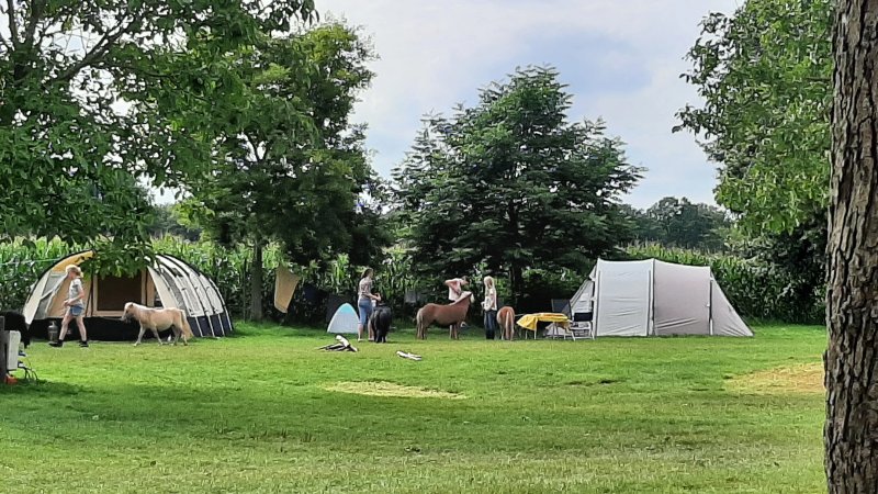 Camping Oosterberg