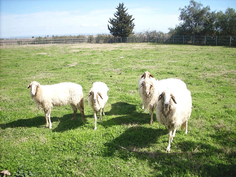 Agriturismo Teo