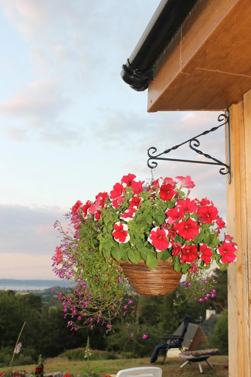 Dreamwood Bed & Breakfast