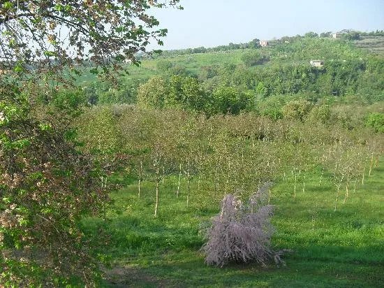 Agriturismo San Michele Arcangelo