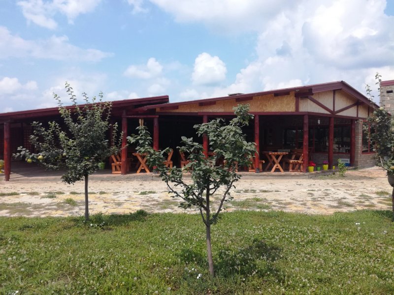 Farm 47 Salas Miris Dunja