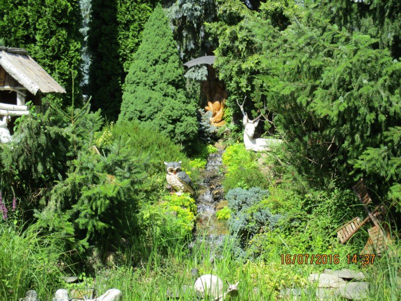 Waldgaststatte Kuckucksdiele