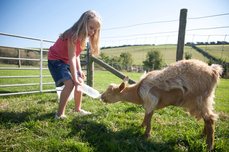 Nettlecombe Farm Holiday Cottages