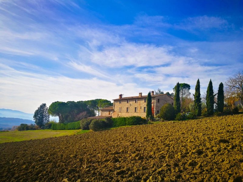 Agriturismo Casale Dei Frontini