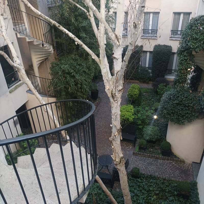 Le Patio Bastille