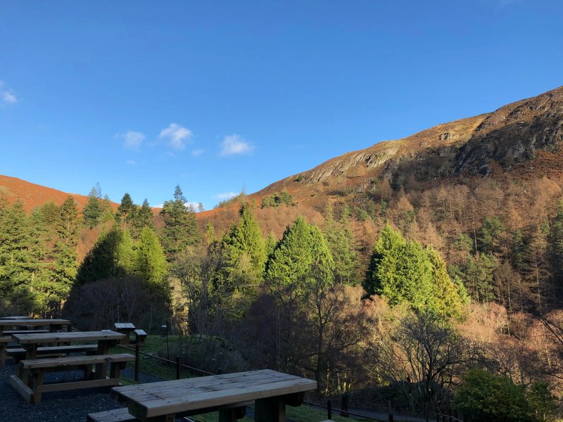 Penbont House, Tearooms and B&B