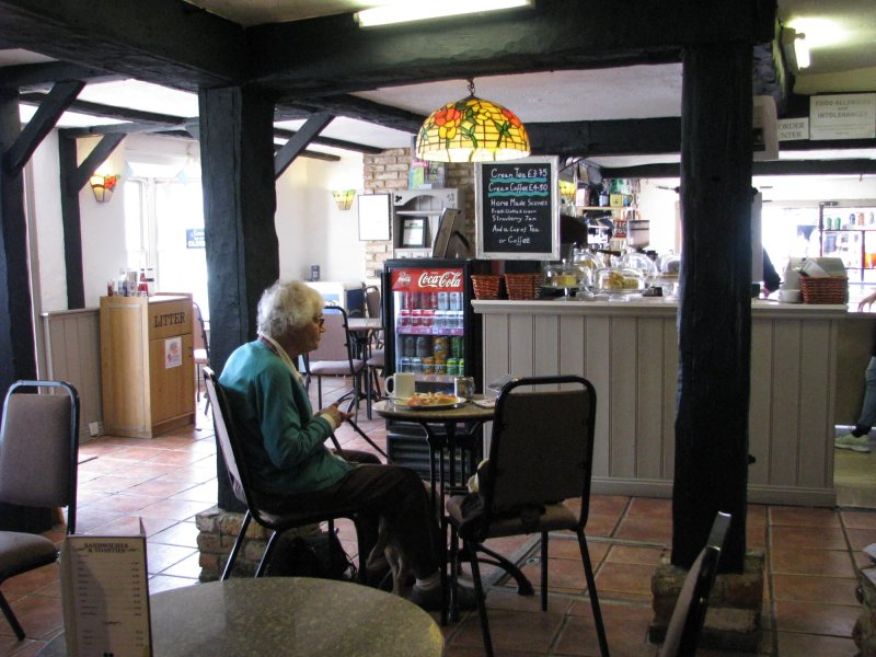 The Old Curiosity Shop
