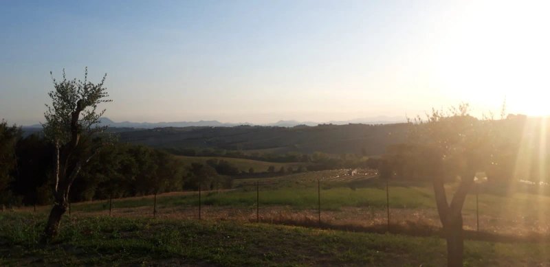 La Cilicchia