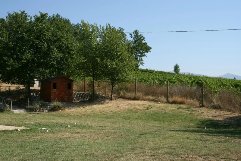 Agriturismo Unico Coricelli