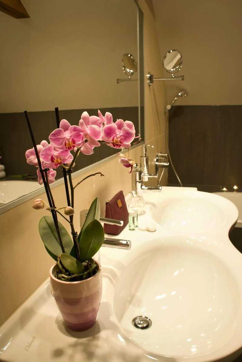 EA Hotel Embassy Prague