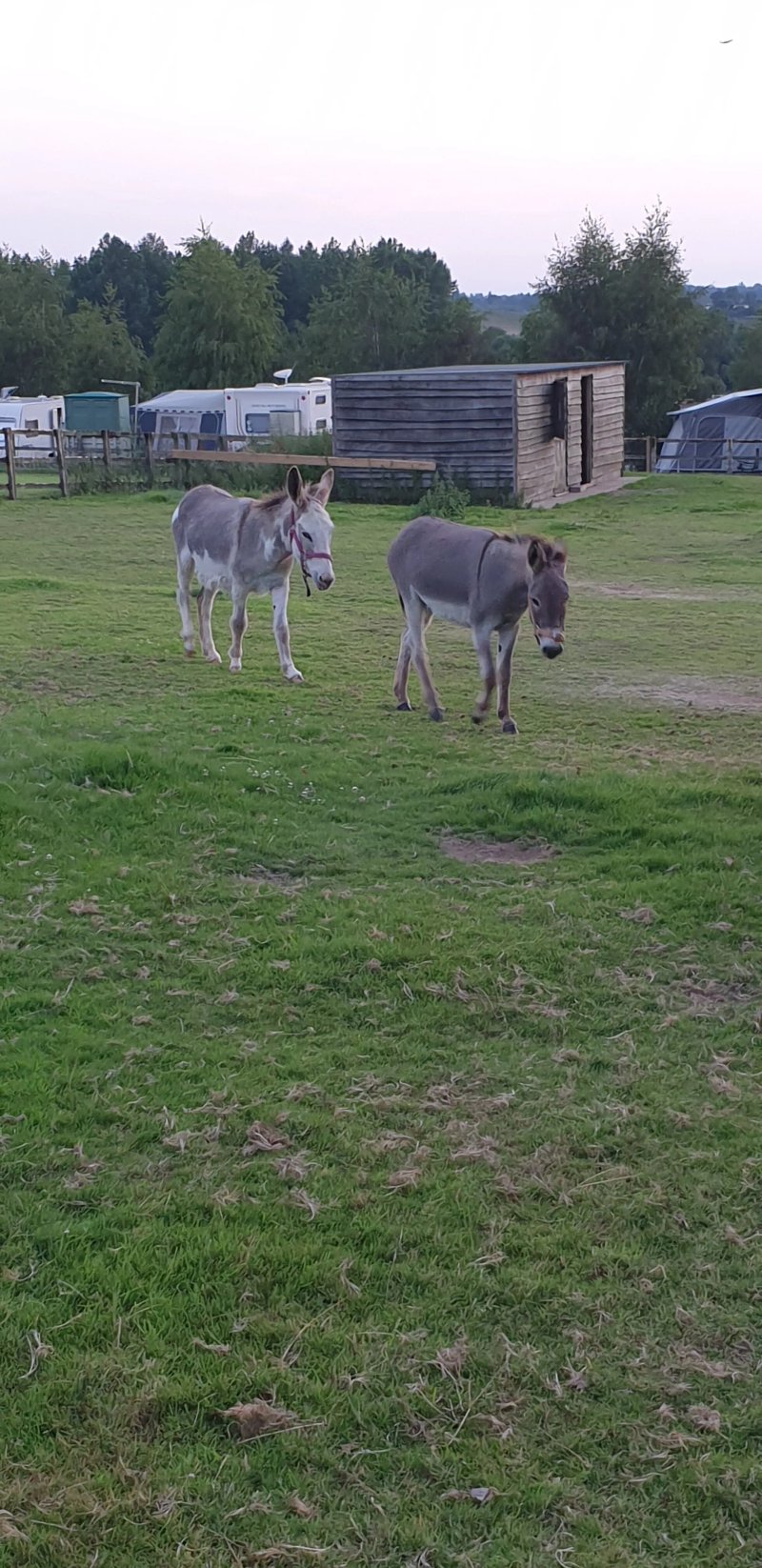 Greenhill  Leisure Park