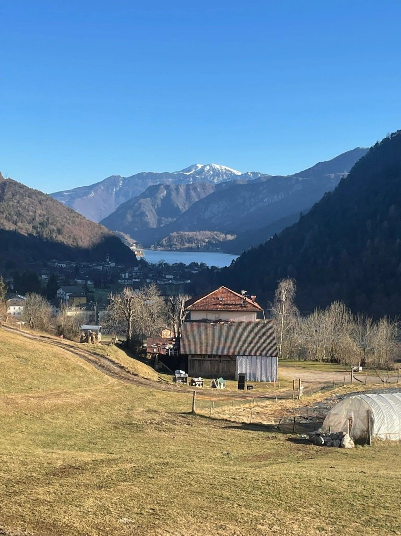 Agriturismo La Dasa