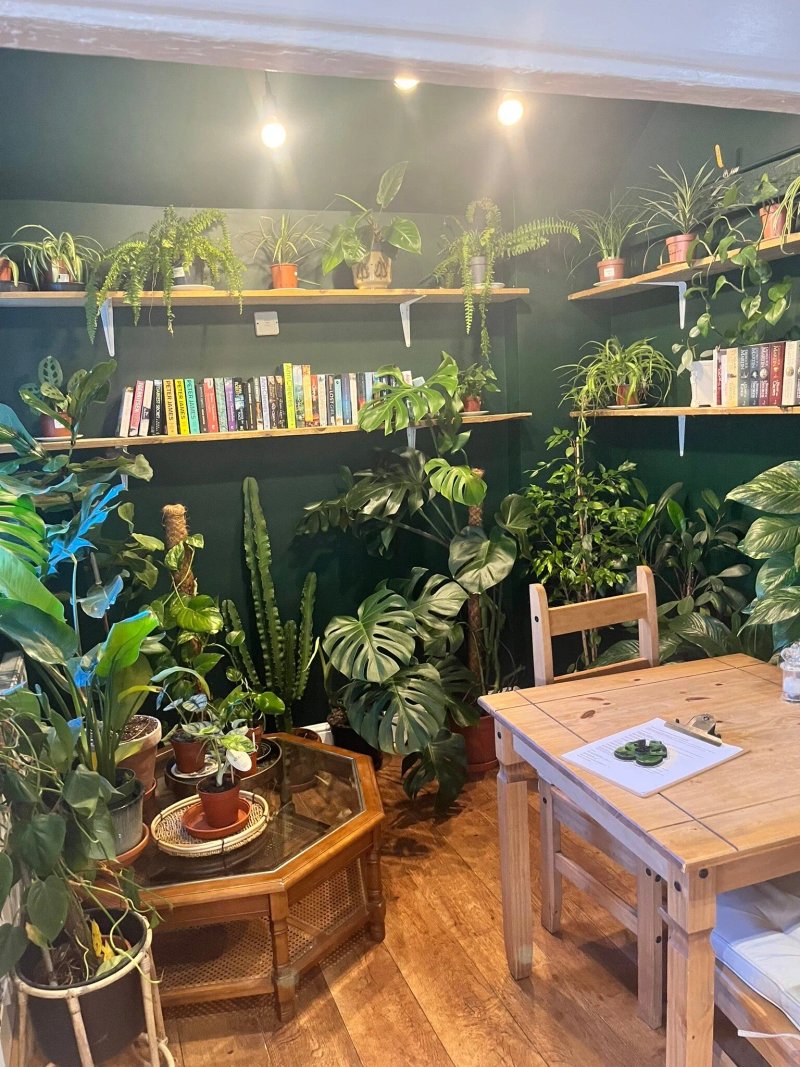 Suffolk Jungle Room @ The Plough Wissett